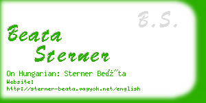 beata sterner business card